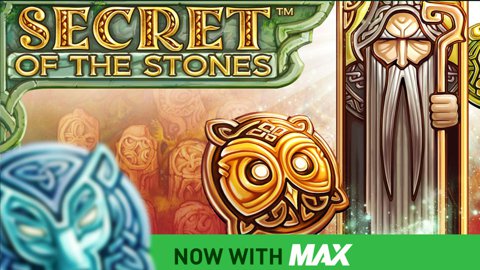 Secret of the Stone